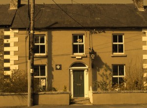 Dunlavin RIC sepia (1)