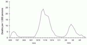 Global mortality from the epidemic.