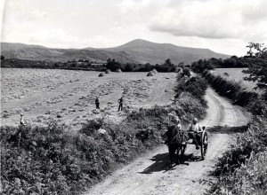 A scene from rural Ireland in the early 1900s.
