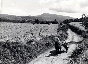 The countryside around Listowel, north Kerry.