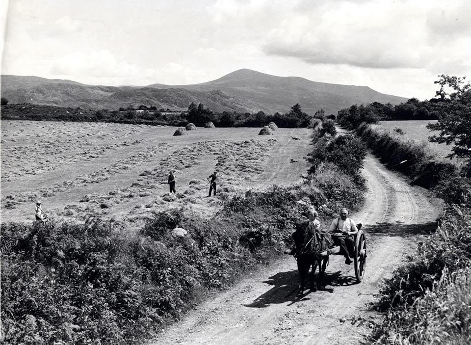 ‘A Hard Bargain’ An Analysis of the Social and Economic Background of Kerry in the Early Twentieth Century